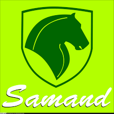 بیمه بدنه سمند